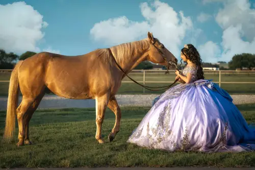 Pichardo's Photography — xv session