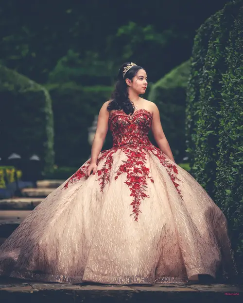Pichardo's Photography — xv session